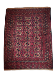 Bukhara Turkmen