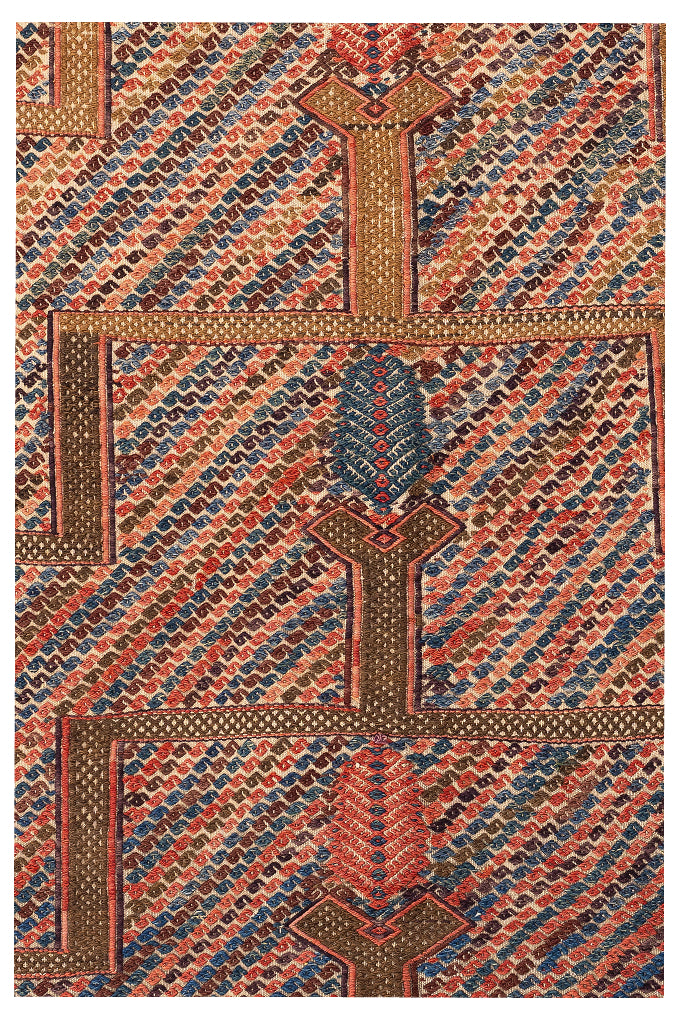 Konya Kecimushine Cicim