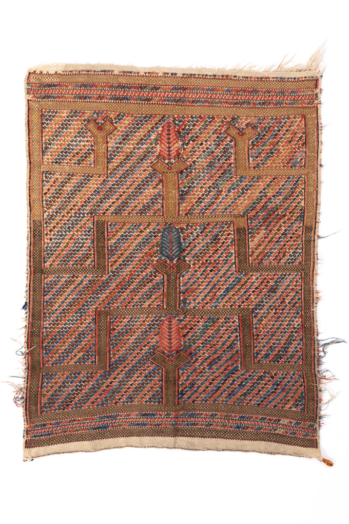 Konya Kecimushine Cicim