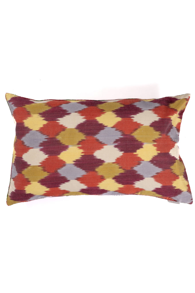 Ikat Velvet Pillow